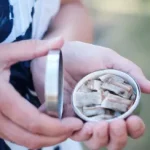 Take Control: Choose Premium Nicotine Over Tobacco