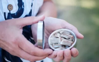 Take Control: Choose Premium Nicotine Over Tobacco