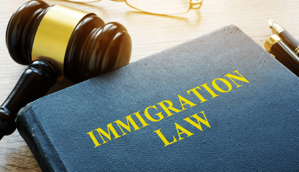 immigration law assistance