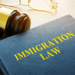 immigration law assistance