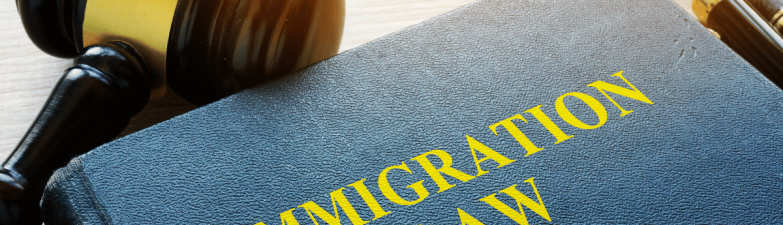 immigration law assistance