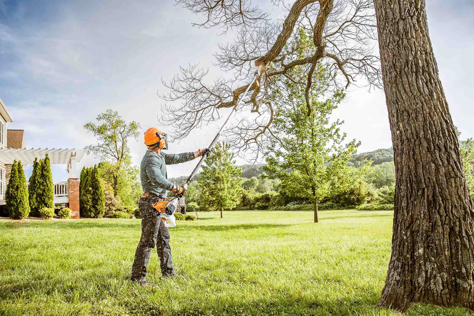 Tree trimming